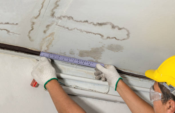 Reliable Structural Drying contractor in Edenville, MI by Water Damage Irwin